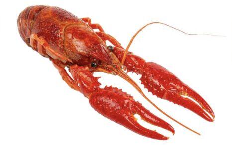 0.5LB Crawfish