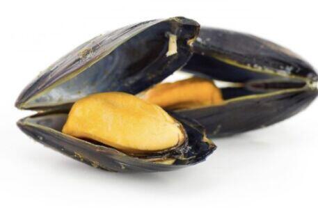 1LB Black Mussels