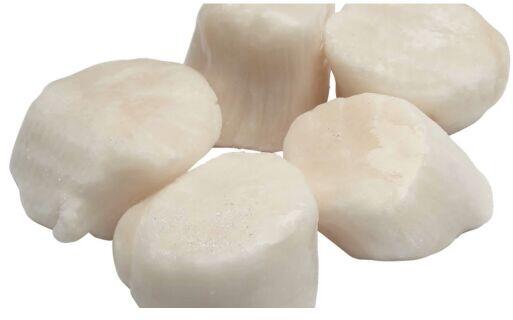 1LB Scallops